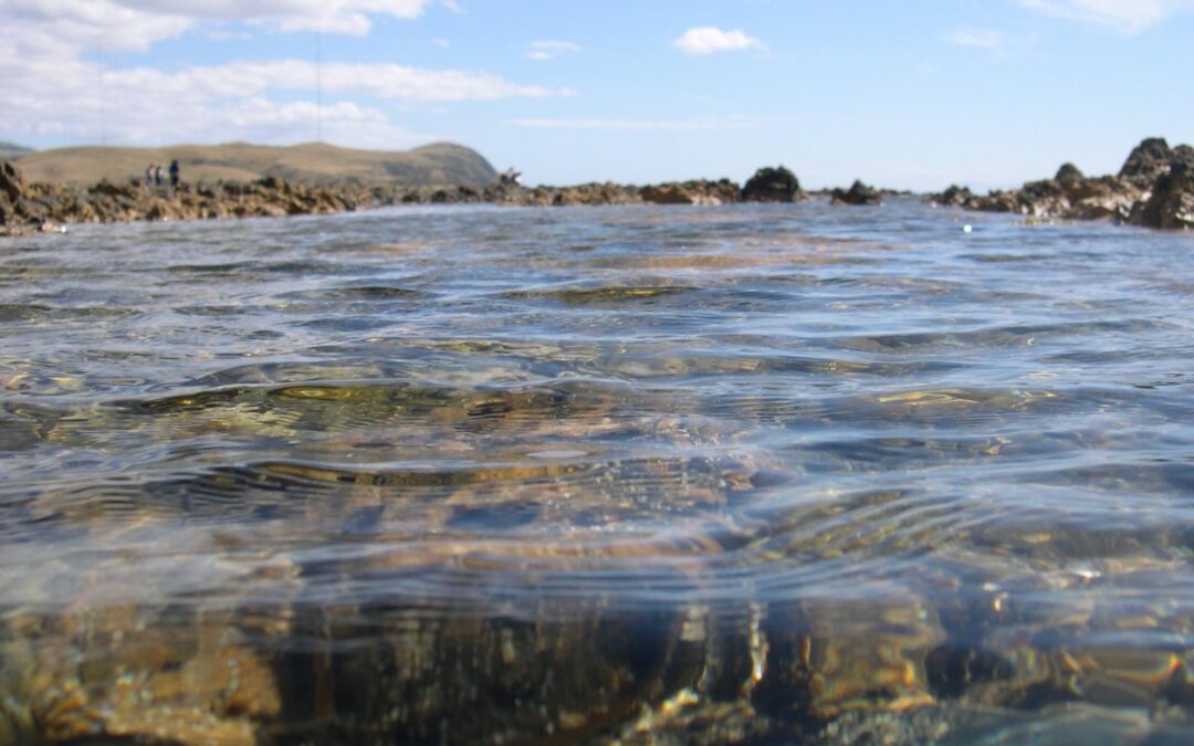 Sea and Rocks